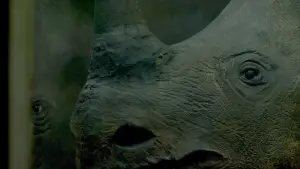 Задник до фильму"Little, Big, and Far" #799683