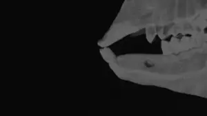 Задник до фильму"" #542096