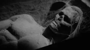 Задник до фильму"" #647106