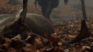 Задник до фильму"Полювання" #650056