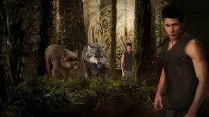 Задник до фильму"Сутінки. Сага: Новий місяць" #519648