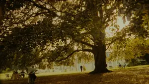 Задник до фильму"Три кольори: Синій" #729321