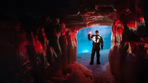 Задник до фильму"" #707342