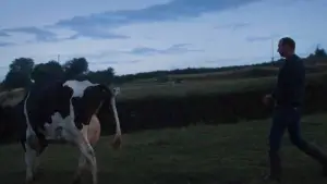 Задник до фильму"" #536397