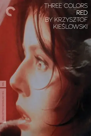 Постер до фильму"Три кольори: Червоний" #94005