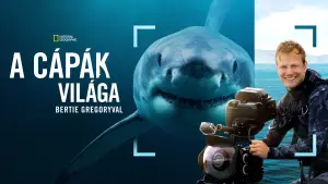 Задник до фильму"Sharks Up Close with Bertie Gregory" #793005