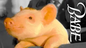 Задник до фильму"Бейб" #115747