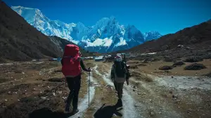 Задник до фильму"Back to Tilicho" #781632