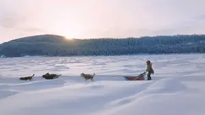 Задник до фильму"Кіна та Юк: Пухнасті пригоди" #757762