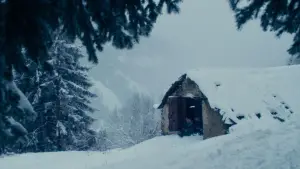 Задник до фильму"Вермільйо" #652964