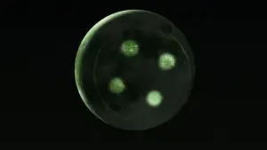 Задник до фильму"Кораліна у світі кошмарів" #522295