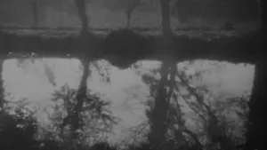 Задник до фильму"Вампір: Марення Аллана Ґрея" #478698