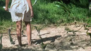 Задник до фильму"Парк Юрського періоду 2. Загублений світ" #631615