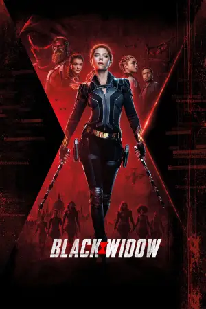 Постер до фильму"Чорна вдова" #769994