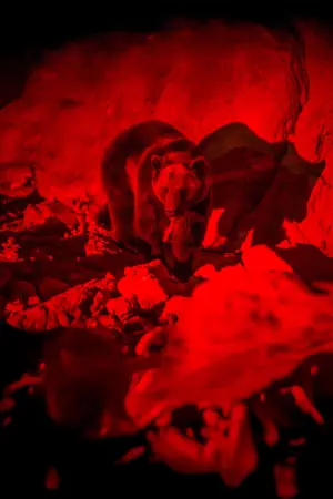 Постер до фильму"Savage Hunt" #609209