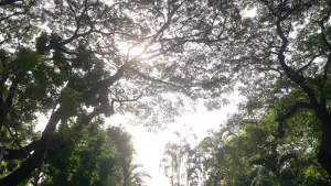 Задник до фильму"Loving Compliment" #781810