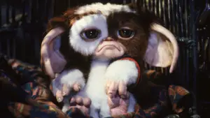 Задник до фильму"Гремліни 2: Нова партія" #692538