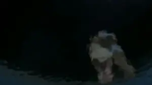 Задник до фильму"Дівчина з води" #897707