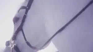 Задник до фильму"Гидка сестра" #519095