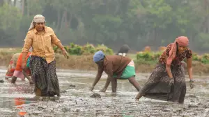 Задник до фильму"பைசன் காளமாடன்" #786348