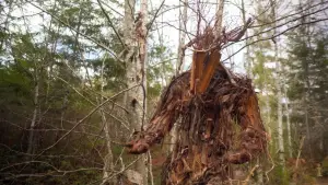 Задник до фильму"The Stickman