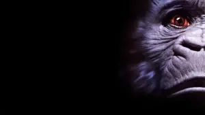 Задник до фильму"Конго" #341138