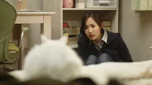 Задник до фильму"Кішка, що бачить мертвих" #446333