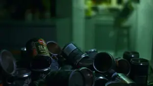 Задник до фильму"Чунцінський експрес" #655471