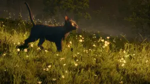 Задник до фильму"" #586572