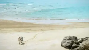 Задник до фильму"" #646999