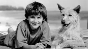 Задник до фильму"" #491445