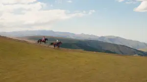 Задник до фильму"Мой любимый чемпион" #785171