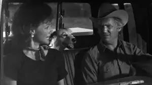 Задник до фильму"Техасвілль" #765289