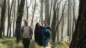 Задник до фильму"" #539527