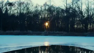 Задник до фильму"Зла не існує" #756362