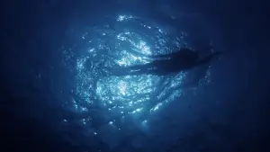 Задник до фильму"Les dents de la mer, un succès monstre" #920275
