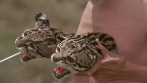 Задник до фильму"Свята гора" #726633