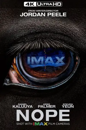 Постер до фильму"НОУ" #44775