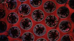 Задник до фильму"Втеча з курника" #672052