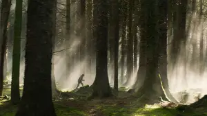 Задник до фильму"" #522909