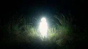 Відео до фільму Chronicles of a Wandering Saint | Tom&aacute;s G&oacute;mez Bustillo on CHRONICLES OF A WANDERING SAINT