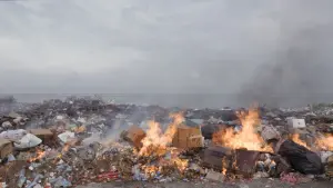 Задник до фильму"Не на своєму місці" #476988