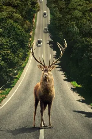 Постер до фильму"Ілюзія безпеки" #164162