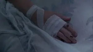 Задник до фильму"Пікнік біля Висячої скелі" #532768