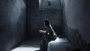 Задник до фильму"Справа Фріди" #588230