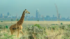 Задник до фильму"Руйнуючи межі: Науковий погляд на нашу планету" #417753