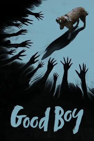 Постер до фильму"Хороший хлопчик" #770394