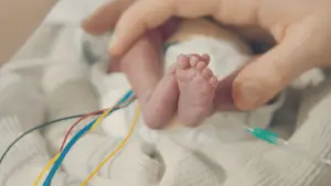 Задник до фильму"L’Hôpital des Premiers Jours" #775824