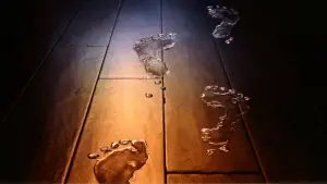 Задник до фильму"Дівчина з води" #377921