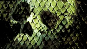 Задник до фильму"Анаконда 2: Полювання на криваву орхідею" #739706